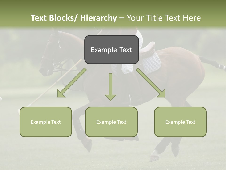 Amazing Flower PowerPoint Template