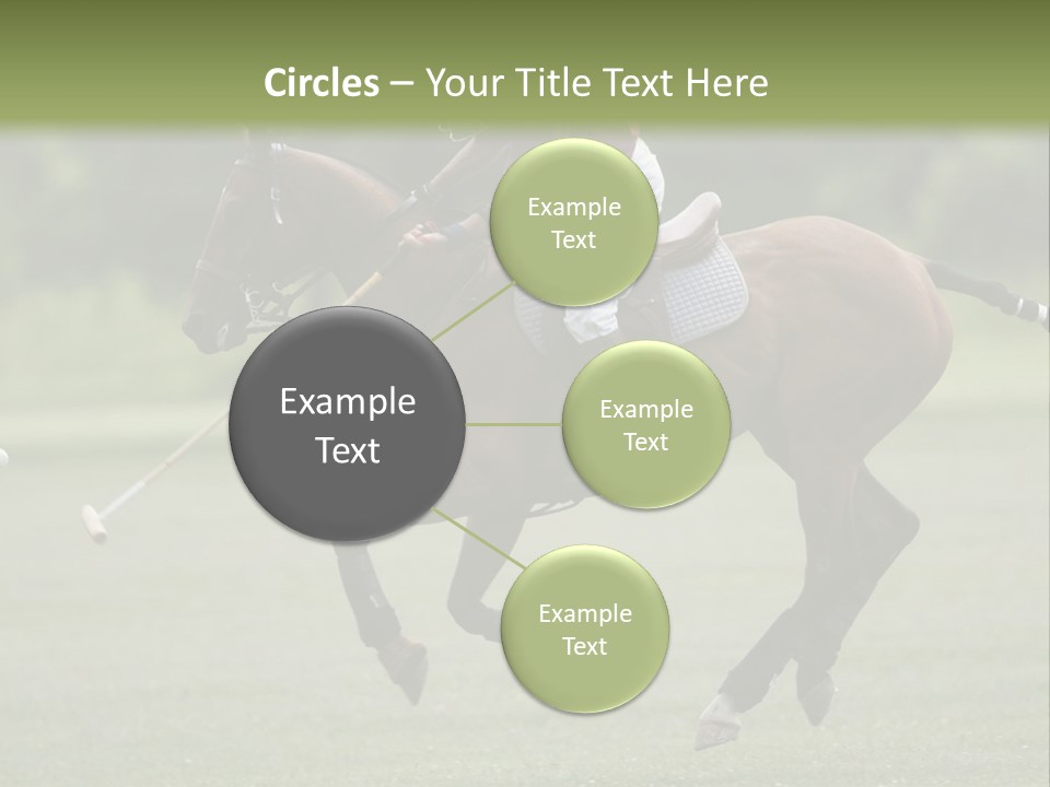 Amazing Flower PowerPoint Template