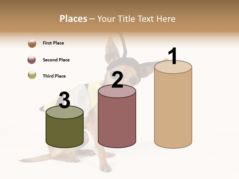 Chihuahua In A Bee Costume PowerPoint Template