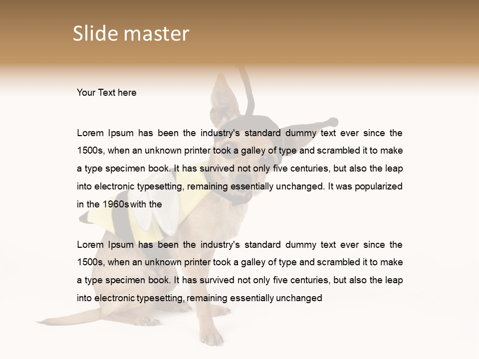 Chihuahua In A Bee Costume PowerPoint Template