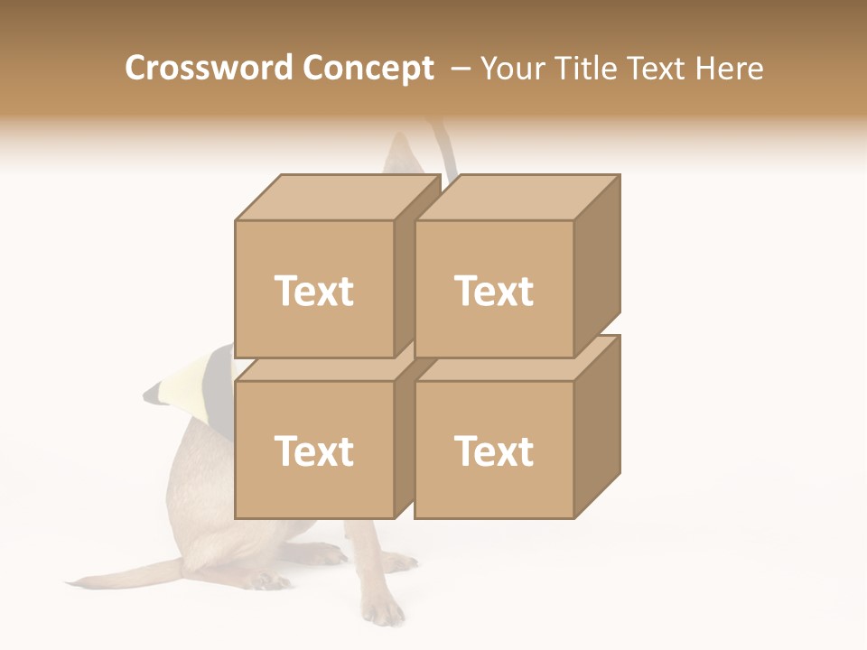 Chihuahua In A Bee Costume PowerPoint Template