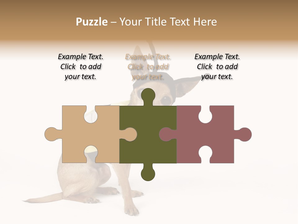 Chihuahua In A Bee Costume PowerPoint Template