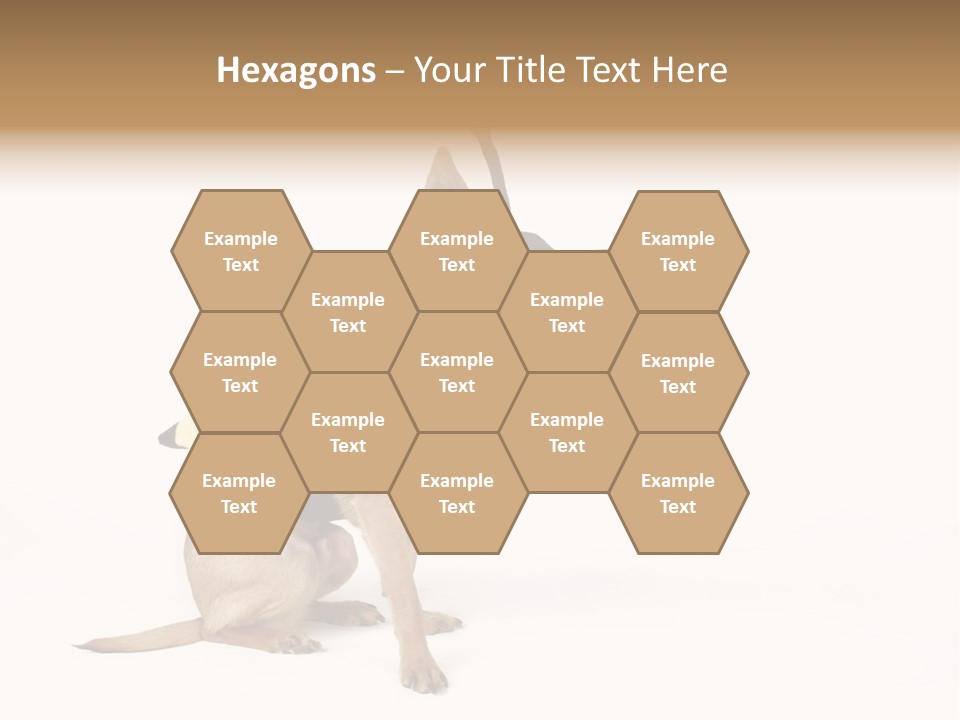 Chihuahua In A Bee Costume PowerPoint Template