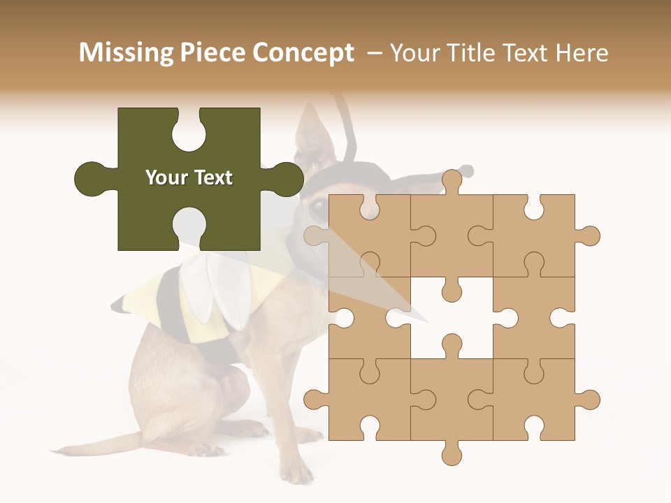 Chihuahua In A Bee Costume PowerPoint Template
