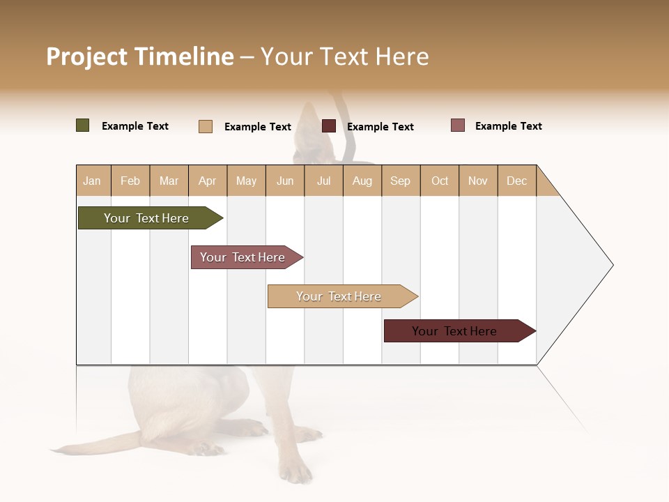 Chihuahua In A Bee Costume PowerPoint Template