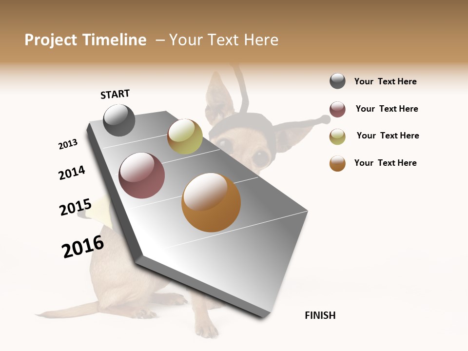 Chihuahua In A Bee Costume PowerPoint Template