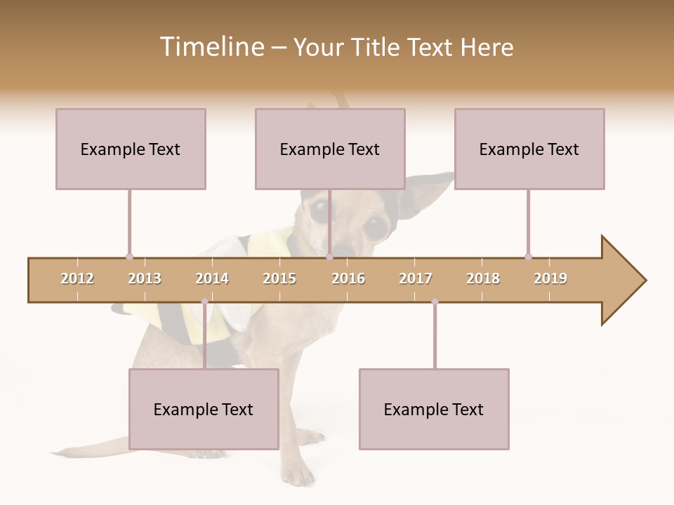 Chihuahua In A Bee Costume PowerPoint Template