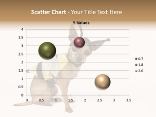 Chihuahua In A Bee Costume PowerPoint Template