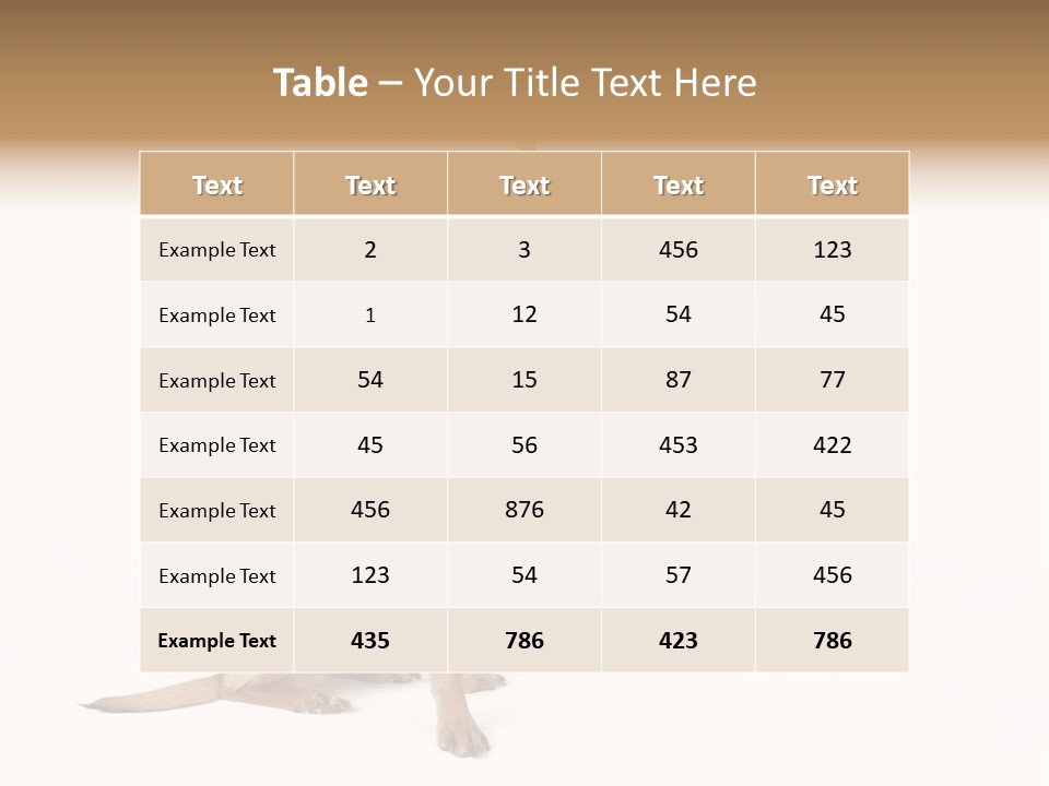 Chihuahua In A Bee Costume PowerPoint Template