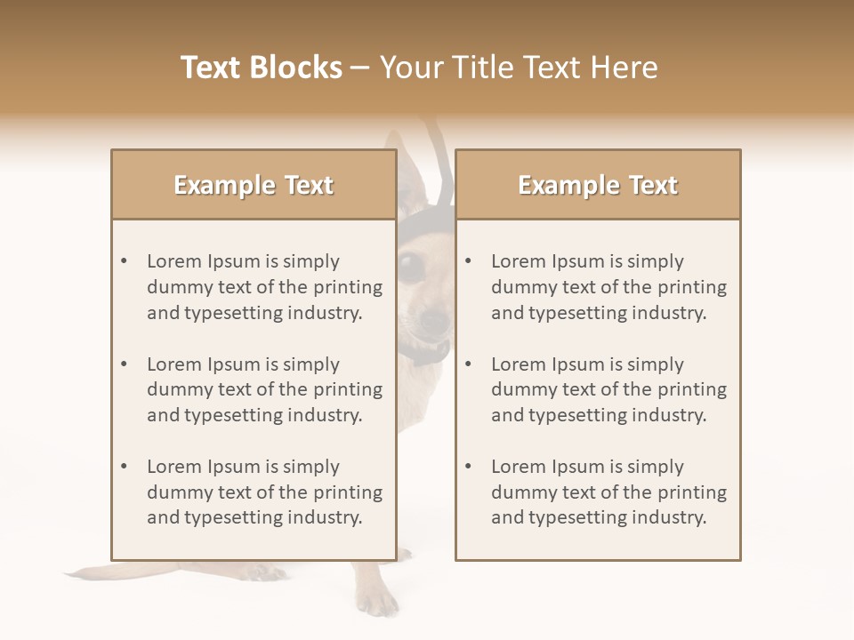 Chihuahua In A Bee Costume PowerPoint Template