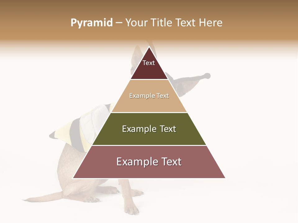 Chihuahua In A Bee Costume PowerPoint Template