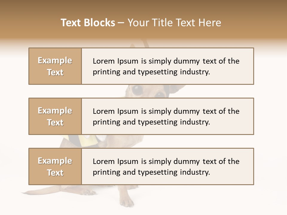 Chihuahua In A Bee Costume PowerPoint Template