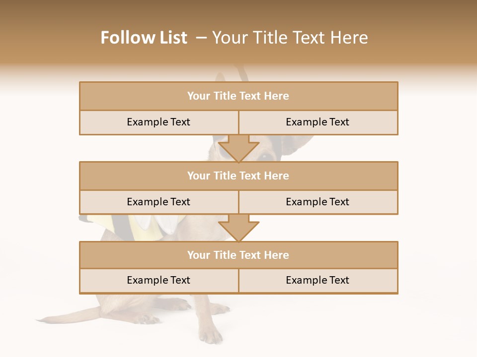 Chihuahua In A Bee Costume PowerPoint Template