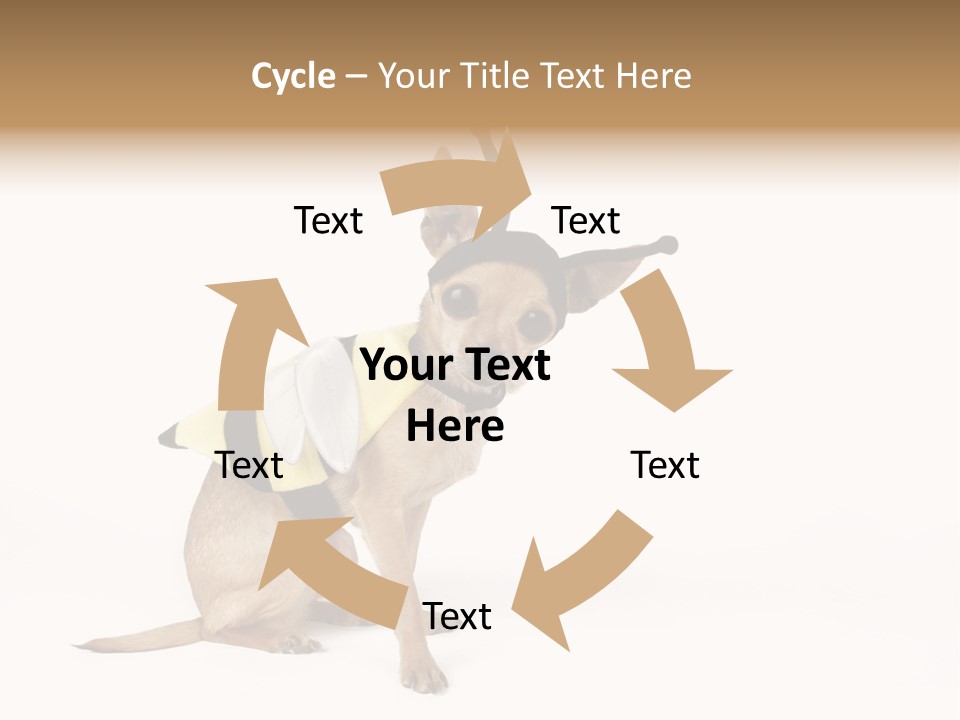 Chihuahua In A Bee Costume PowerPoint Template