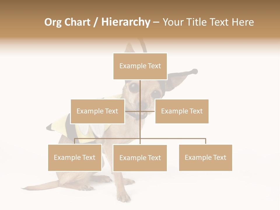 Chihuahua In A Bee Costume PowerPoint Template