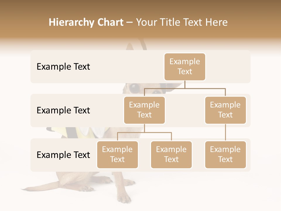 Chihuahua In A Bee Costume PowerPoint Template