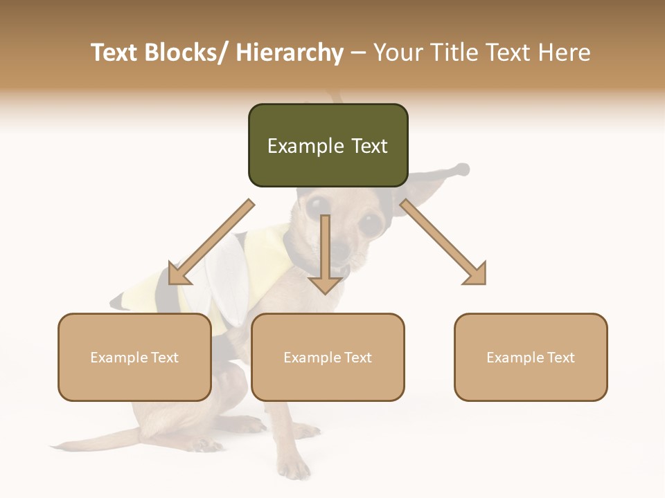 Chihuahua In A Bee Costume PowerPoint Template