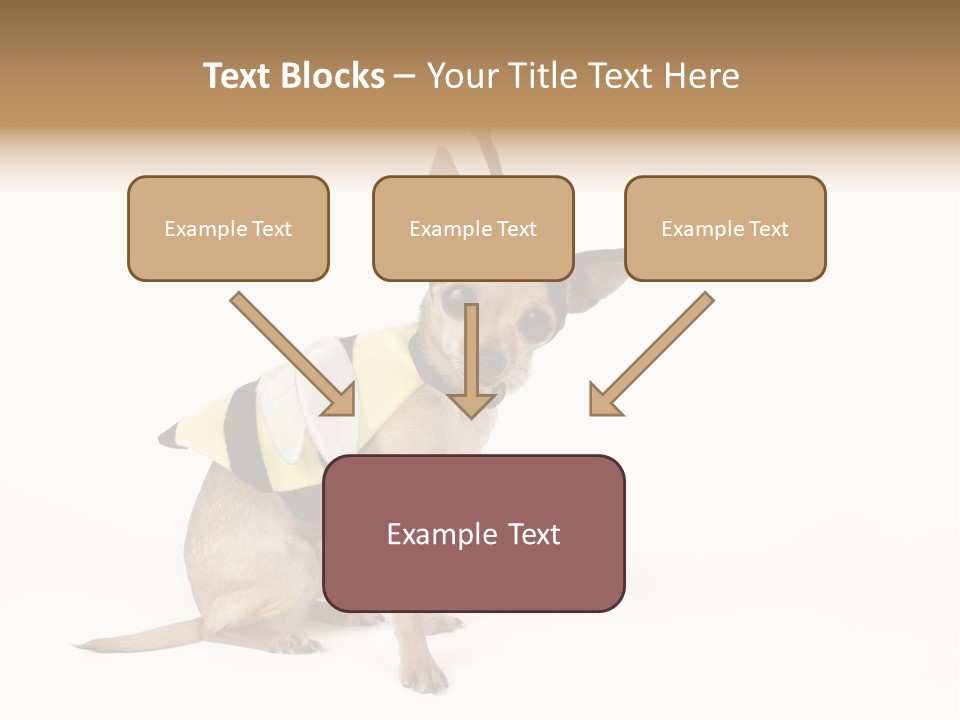 Chihuahua In A Bee Costume PowerPoint Template