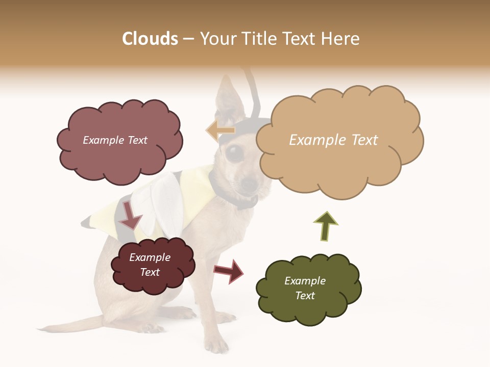 Chihuahua In A Bee Costume PowerPoint Template