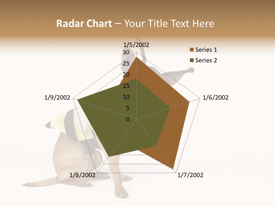 Chihuahua In A Bee Costume PowerPoint Template