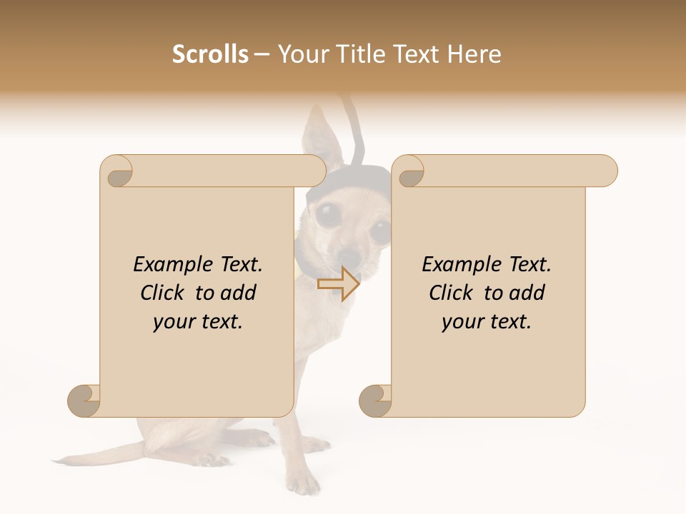 Chihuahua In A Bee Costume PowerPoint Template