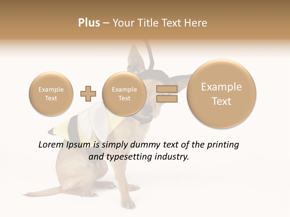 Chihuahua In A Bee Costume PowerPoint Template