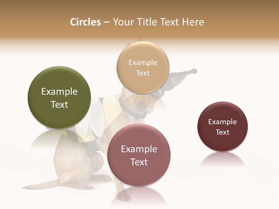 Chihuahua In A Bee Costume PowerPoint Template