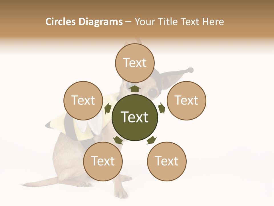 Chihuahua In A Bee Costume PowerPoint Template