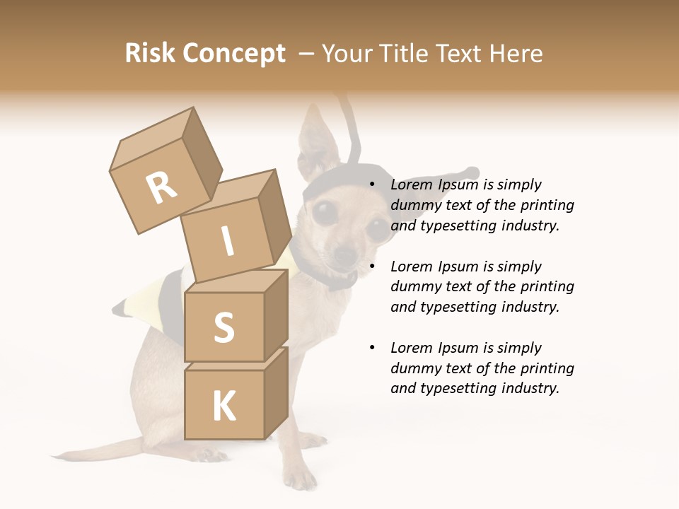 Chihuahua In A Bee Costume PowerPoint Template