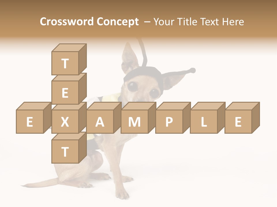 Chihuahua In A Bee Costume PowerPoint Template