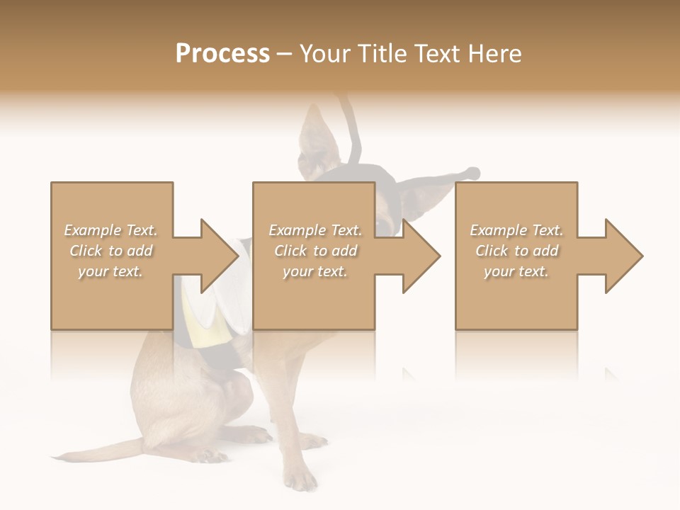 Chihuahua In A Bee Costume PowerPoint Template