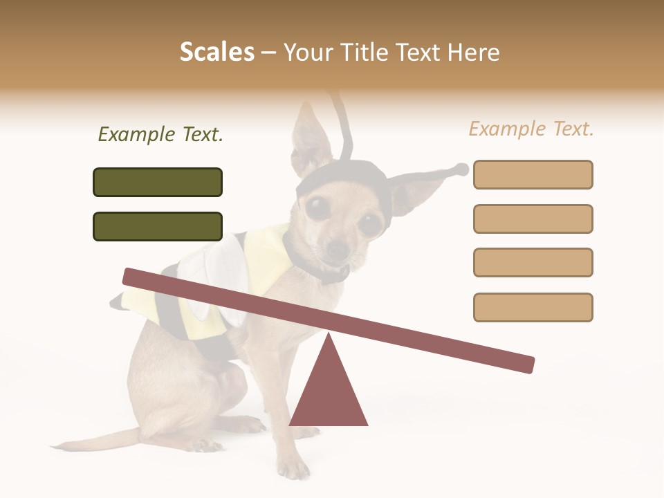 Chihuahua In A Bee Costume PowerPoint Template