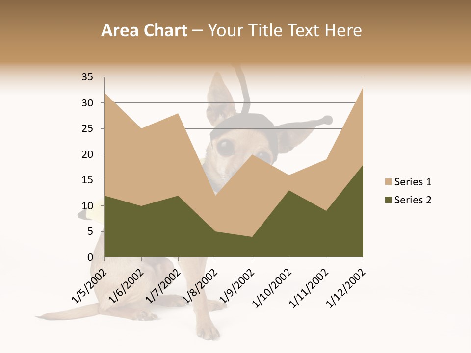 Chihuahua In A Bee Costume PowerPoint Template