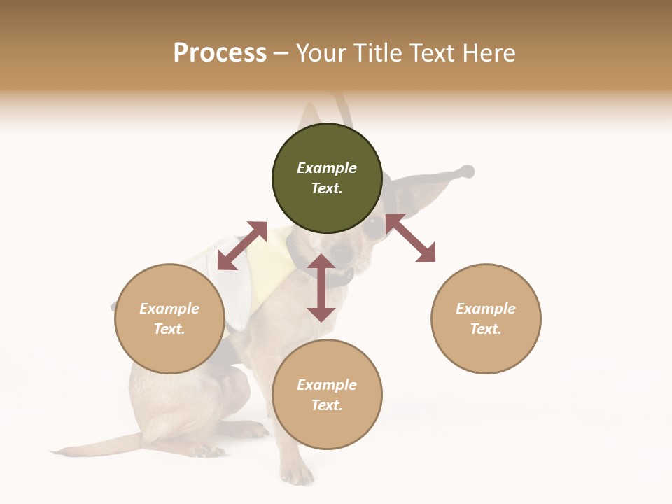 Chihuahua In A Bee Costume PowerPoint Template