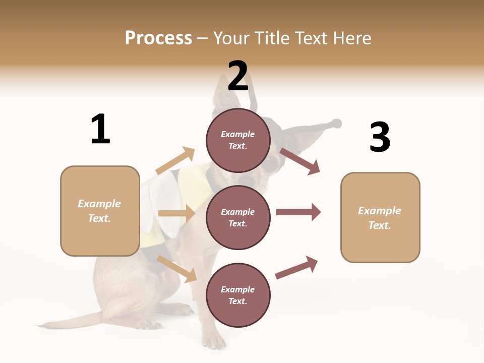 Chihuahua In A Bee Costume PowerPoint Template