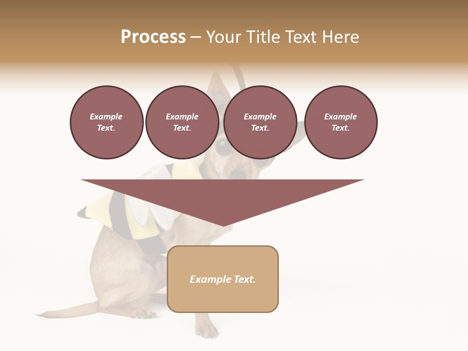 Chihuahua In A Bee Costume PowerPoint Template