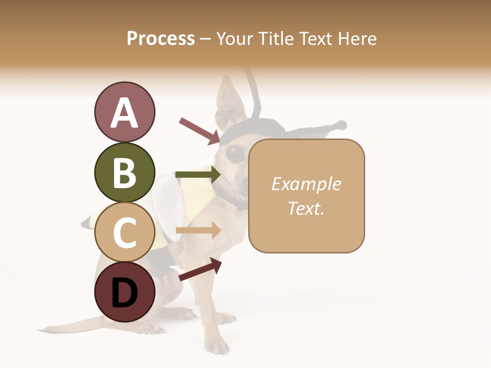 Chihuahua In A Bee Costume PowerPoint Template