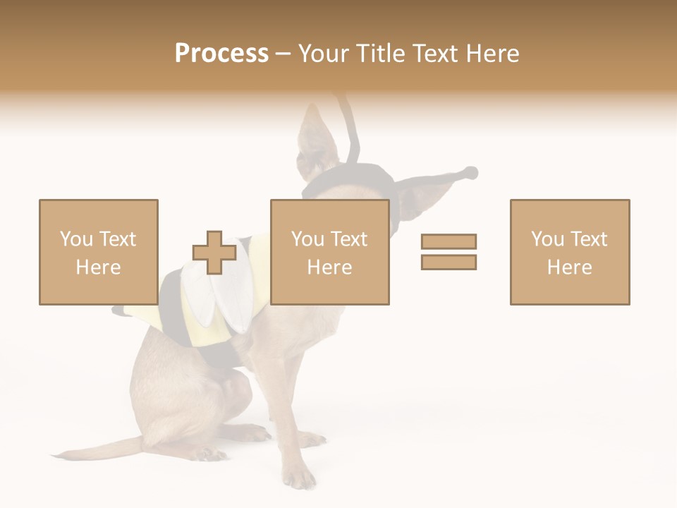 Chihuahua In A Bee Costume PowerPoint Template