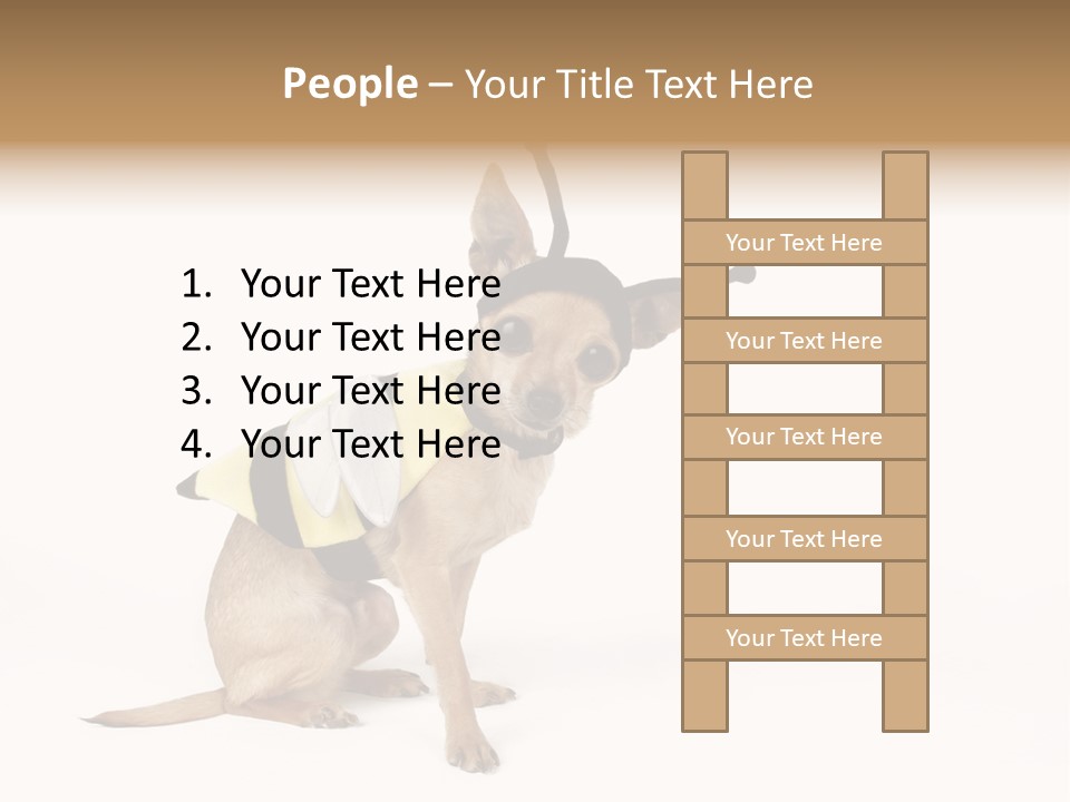 Chihuahua In A Bee Costume PowerPoint Template