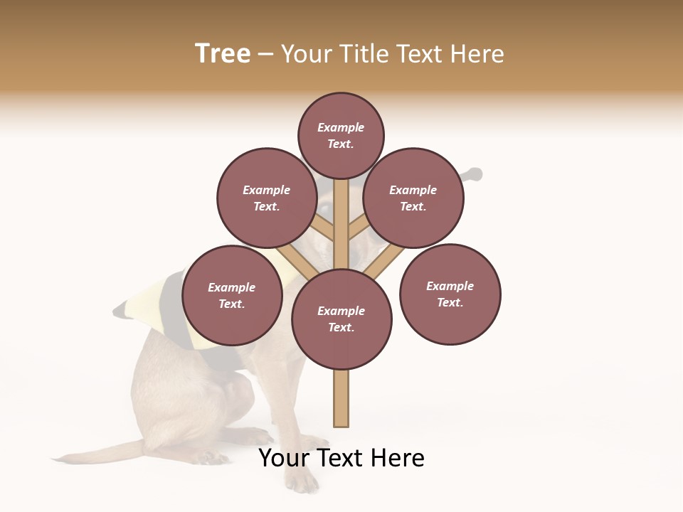 Chihuahua In A Bee Costume PowerPoint Template