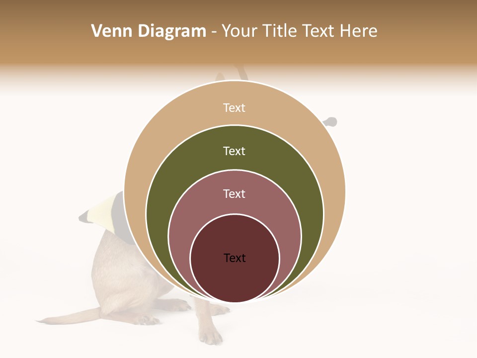 Chihuahua In A Bee Costume PowerPoint Template