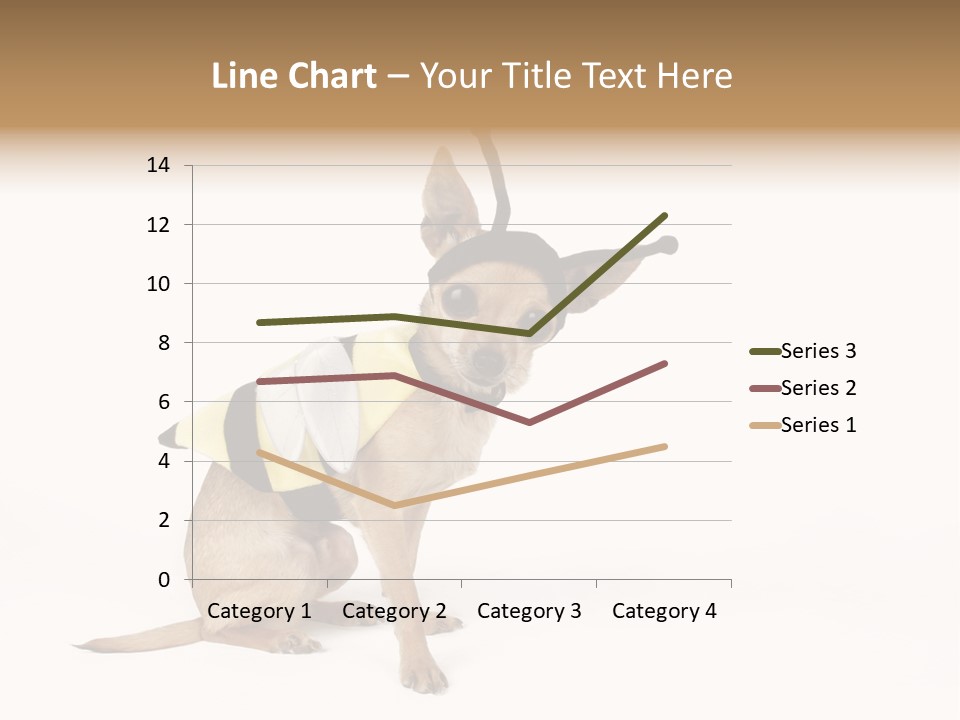 Chihuahua In A Bee Costume PowerPoint Template