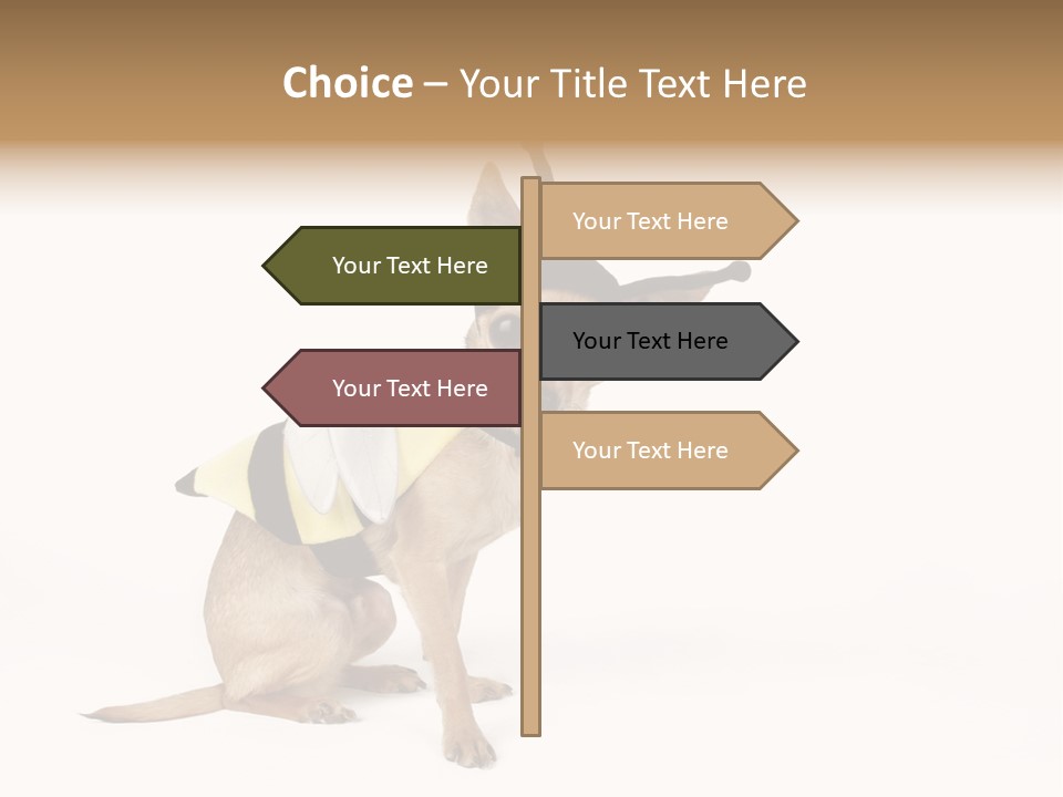 Chihuahua In A Bee Costume PowerPoint Template