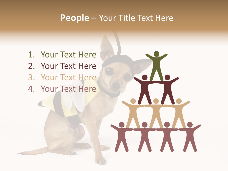 Chihuahua In A Bee Costume PowerPoint Template