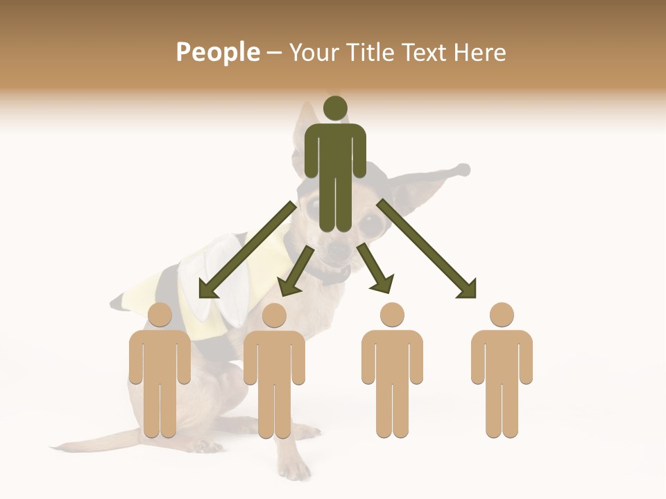 Chihuahua In A Bee Costume PowerPoint Template