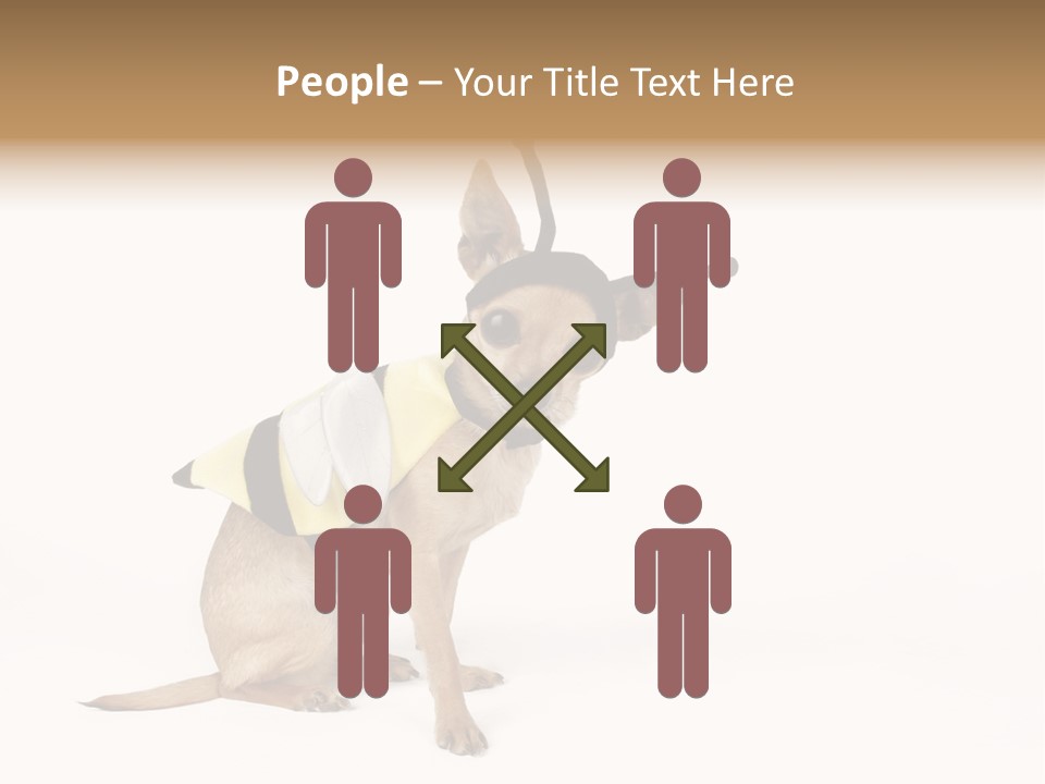 Chihuahua In A Bee Costume PowerPoint Template