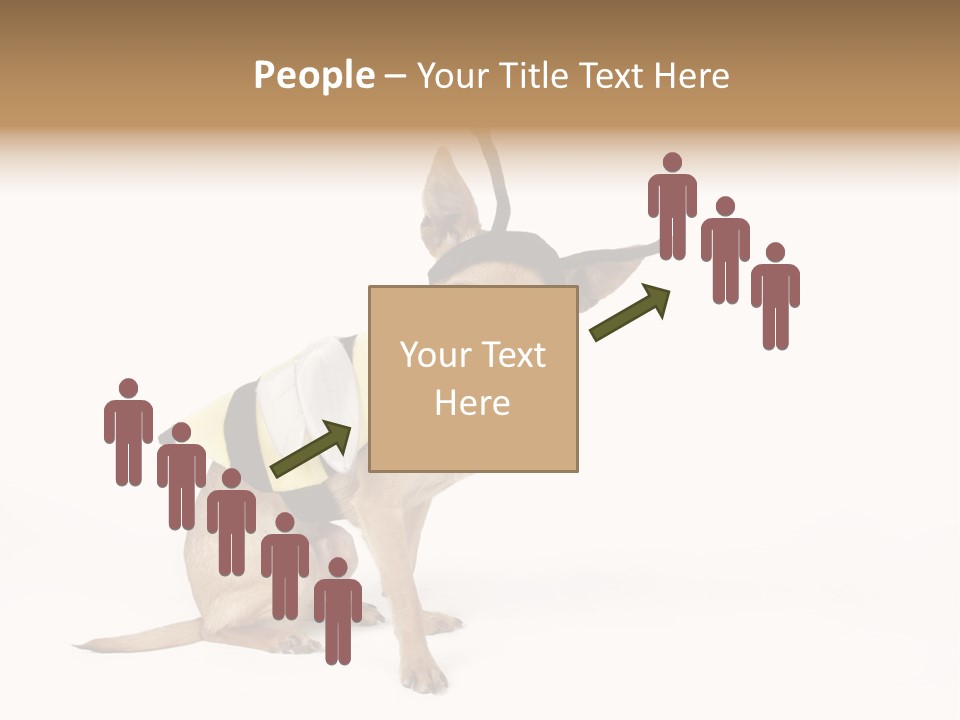 Chihuahua In A Bee Costume PowerPoint Template