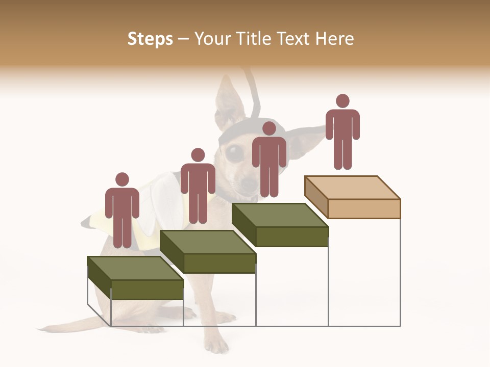 Chihuahua In A Bee Costume PowerPoint Template