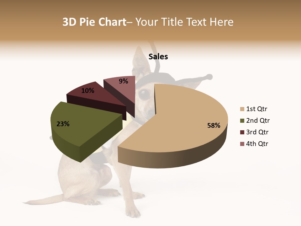 Chihuahua In A Bee Costume PowerPoint Template