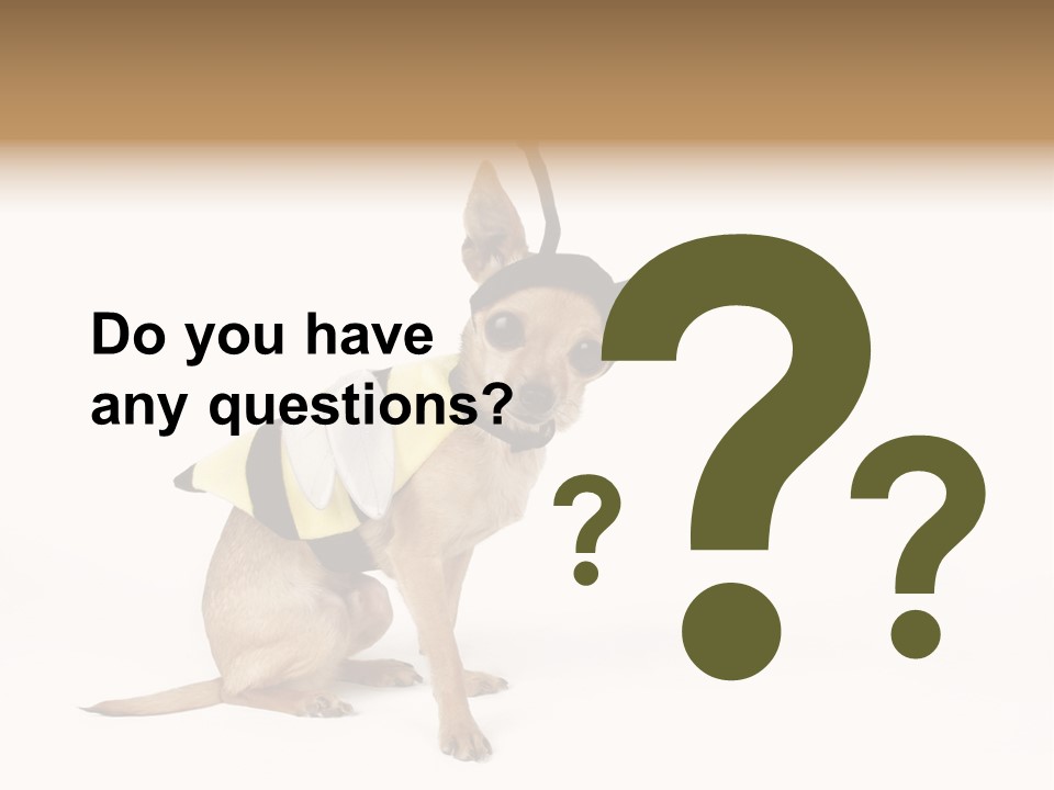 Chihuahua In A Bee Costume PowerPoint Template